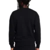 Boy Wingspan Sweatshirt
