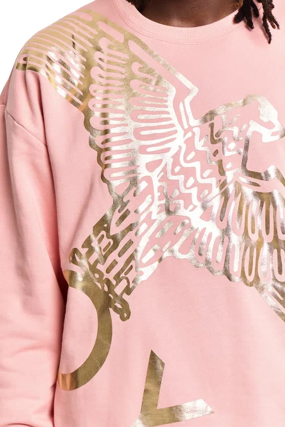 Boy Wingspan Sweatshirt